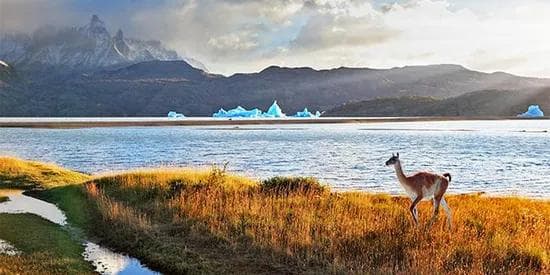 post: Gateway to Patagonia From $5,299 | 5 nights