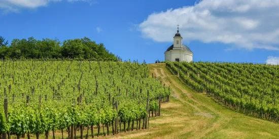 pre: Budapest & Tokaj From $1,799 | 4 nights