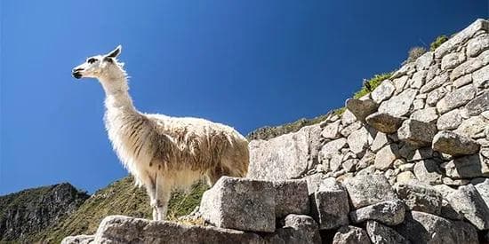 post: The Best of Peru From $6,499 | 5 nights