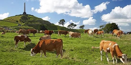 pre: Auckland From $999 | 2 nights