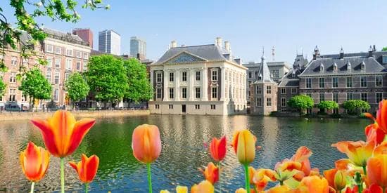 pre: The Hague From $849 | 2 nights